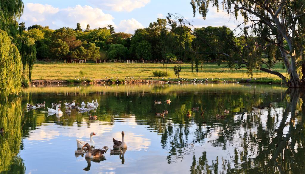 Zulu Nyala Country Manor Hotell Johannesburg Eksteriør bilde